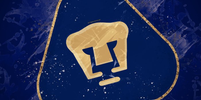 3840x2400 Download wallpapers Pumas UNAM, Club Universidad Nacional, 4k, paint
