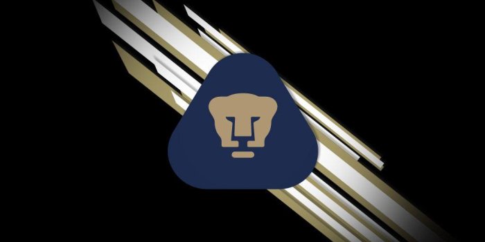1024x768 Pumas Unam Wallpaper (59+), Find HD Wallpapers For Free