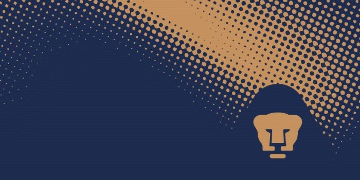 1024x768 TTN Ministry » Pumas Wallpapers Desktop Background