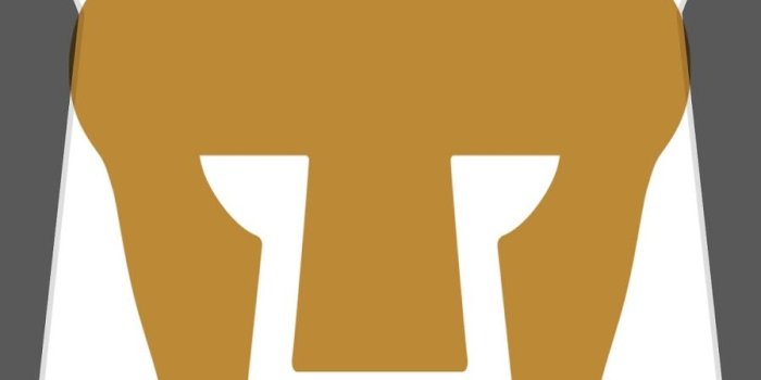 899x1600 Pumas Unam Wallpaper (94+ images in Collection) Page 2
