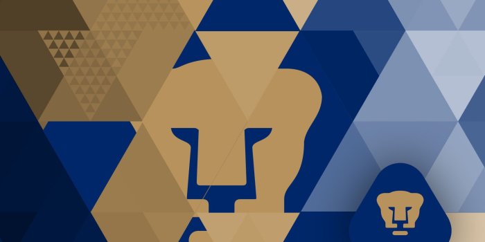 1600x1200 Pumas wallpaper Gallery