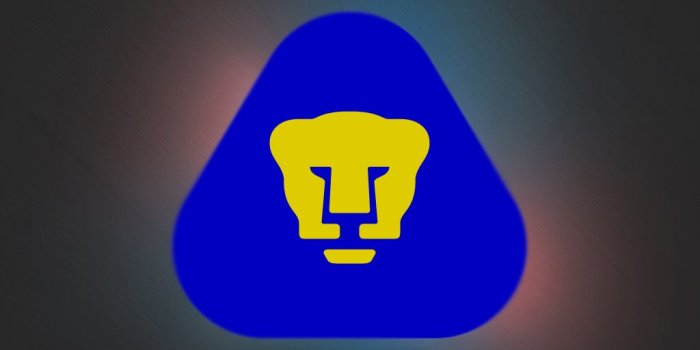 1024x819 Download pumas wallpaperjpg [1024x819] | 48+ Pumas Wallpaper | Puma