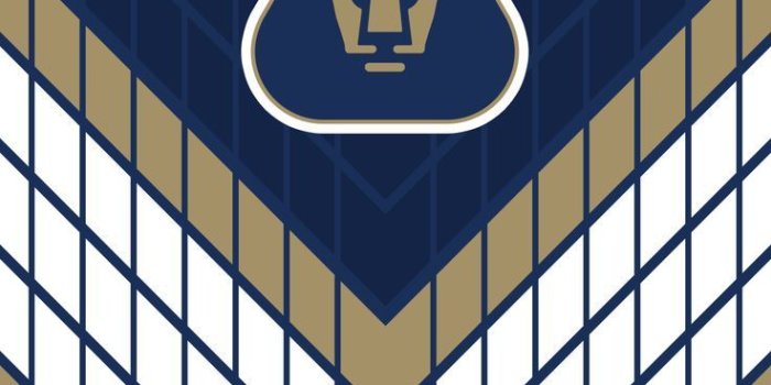 736x1104 Pumas Unam Wallpaper - Pumas Unam Wallpaper Iphone (#1197557) - HD