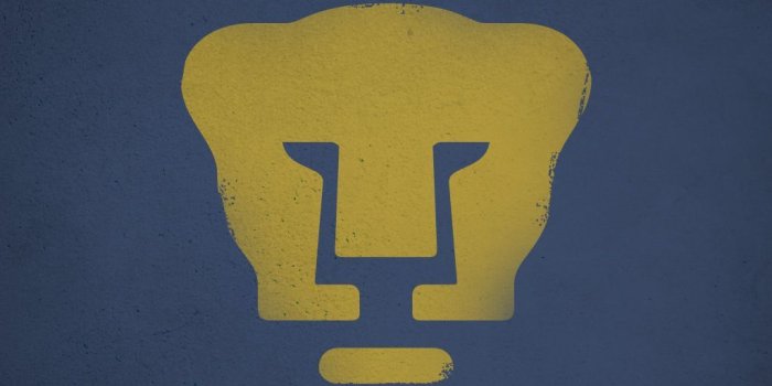 1024x768 Pumas wallpaper Gallery