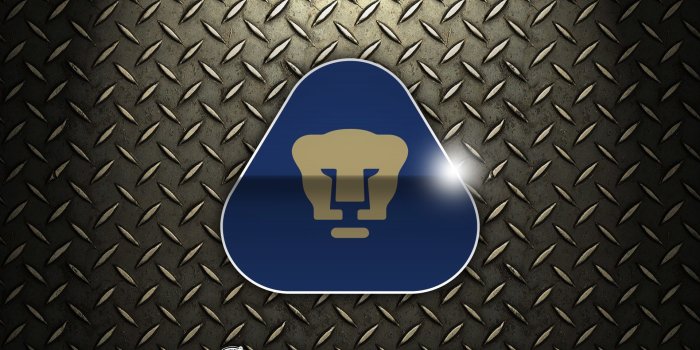 1920x1200 Pumas Wallpaper (62+ images)