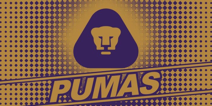 1024x768 Wallpaper pumas por pumitadf