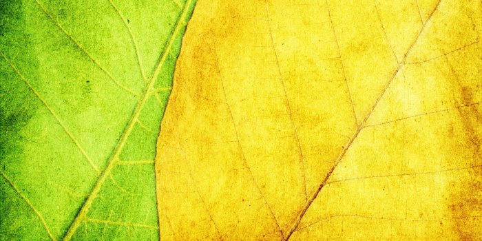 1920x1200 42 HD textured and simple wallpapers for your mobile devices