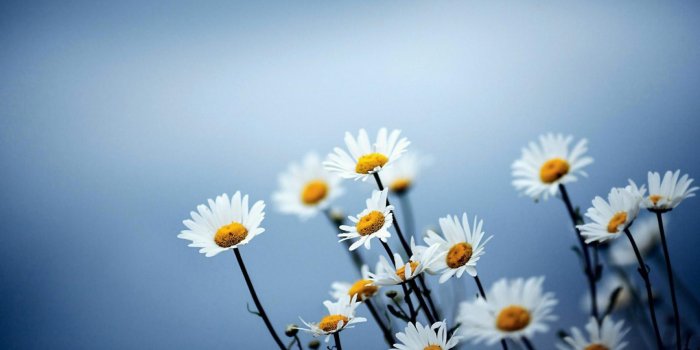 1920x1080 Simple Wallpapers