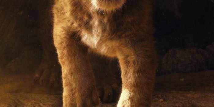 720x1280 The Lion King Wallpaper by DonTox - 3d - Free on ZEDGE™