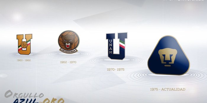 1920x1080 Pumas Unam Wallpapers (57+ images)
