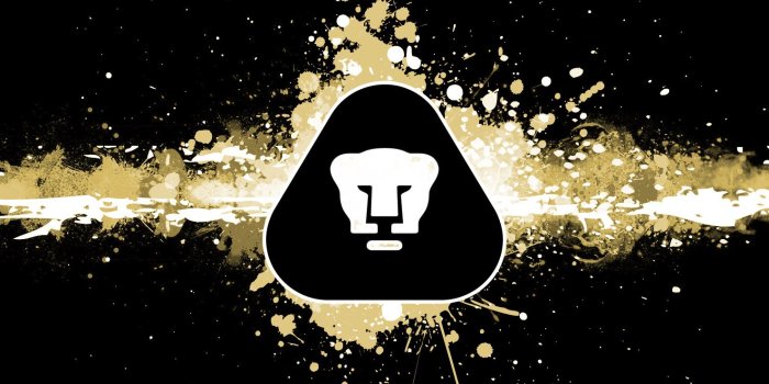 1480x1120 Wallpapers Pumas Unam ✓ Fitrini's Wallpaper