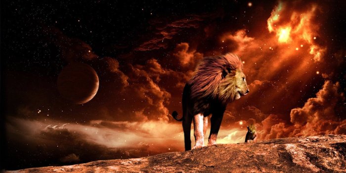 1920x1080 3D Lion King HD Wallpapers Desktop Background