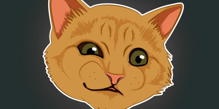 2560x1440 Download wallpaper 2560x1440 cat, emotions, funny, art, meme