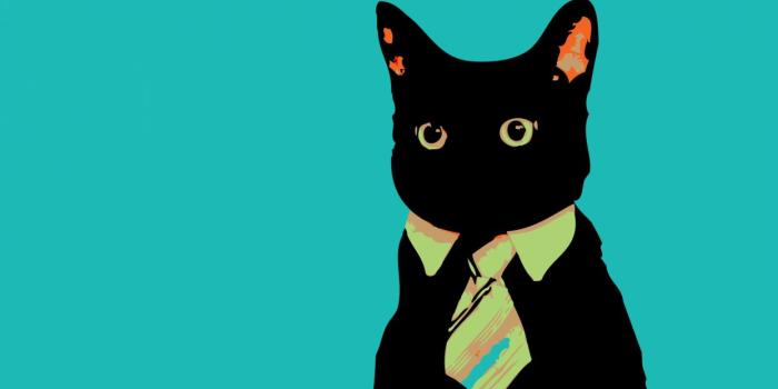 1245x700 Cats animals vector tie meme business business cat wallpaper