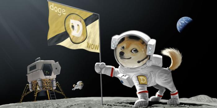 1245x700 Doge Dog Astronaut Meme Moon Landing Earth Planet Flag wallpaper