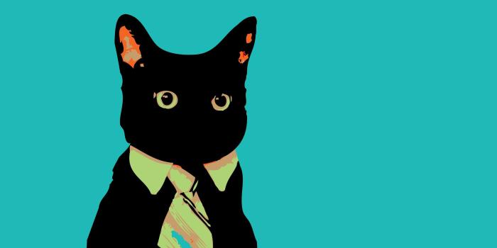 2560x1440 Business cat meme Wallpaper #6867