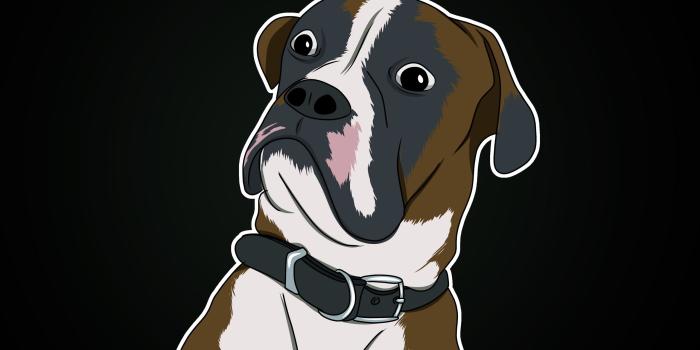 2560x1440 Download wallpaper 2560x1440 dog, wonderment, emotion, meme, sticker