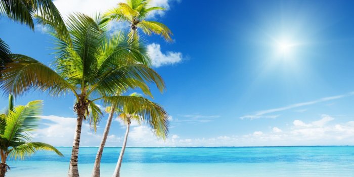 1920x1200 Paradise Desktop Wallpapers - Top Free Paradise Desktop Backgrounds