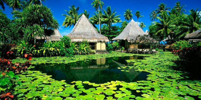 1805x1128 Paradise, Island, Cool Nature Wallpapers, Amazing Landscape, Organic