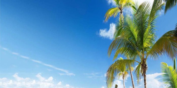 1024x1024 Paradise Island Wallpaper by Baby_Girl__ - 04 - Free on ZEDGE™