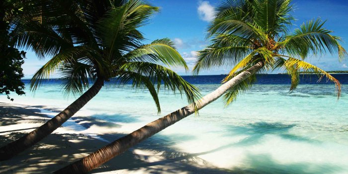 3963x2670 106152 #5k wallpaper, #hotel, #ocean, #paradise, #bungalow, #travel