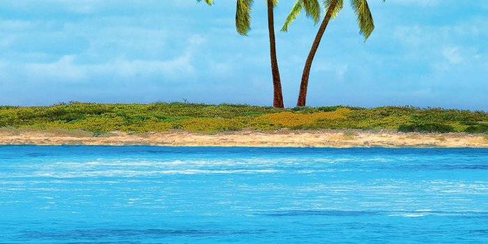 1442x1000 Largest selection of wall mural wallpapers | Online shops