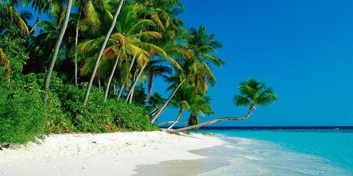 1024x768 BeachX2: Paradise Island Blessing Beach Wallpaper