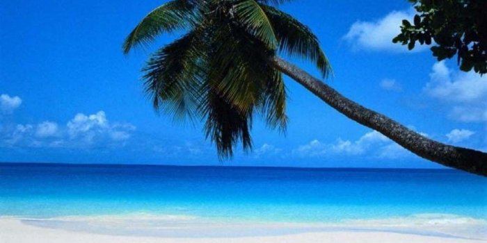 1024x768 Beaches Tropical Heaven Beach Paradise Island Wallpaper Gallery