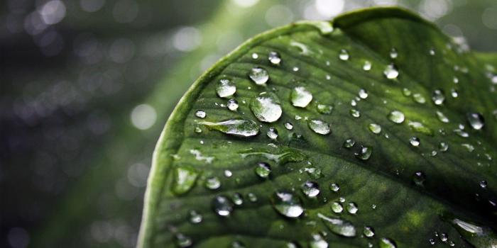 2560x1440 48+ 2560x1440 wallpapers ·① Download free amazing full HD