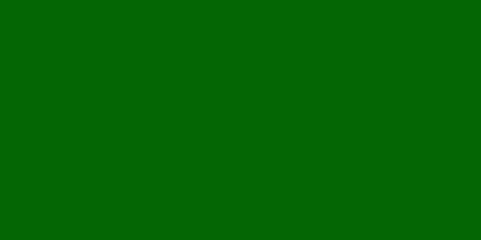 2560x1440 50+ Dark Green Wallpapers - Download at WallpaperBro