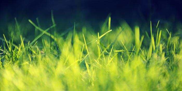 2560x1440 Wallpapers 2560x1440 (95+)