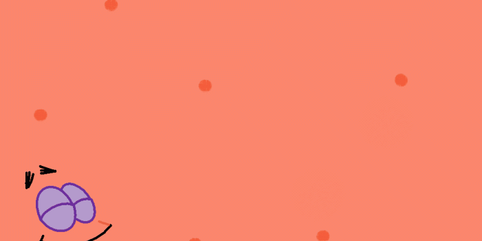 1024x768 50+] Patrick Wallpaper on WallpaperSafari