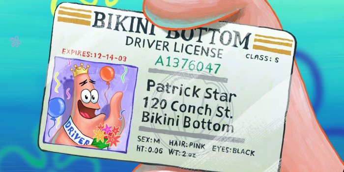 1024x768 Patrick Star | Encyclopedia SpongeBobia | FANDOM powered by Wikia