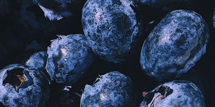 1080x1920 Blueberry, close up, fresh, fruits wallpaper | Wallpaper in 2019