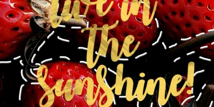 952x1558 Quotes Strawberries Wallpaper Hd | Wallpapers Heroes