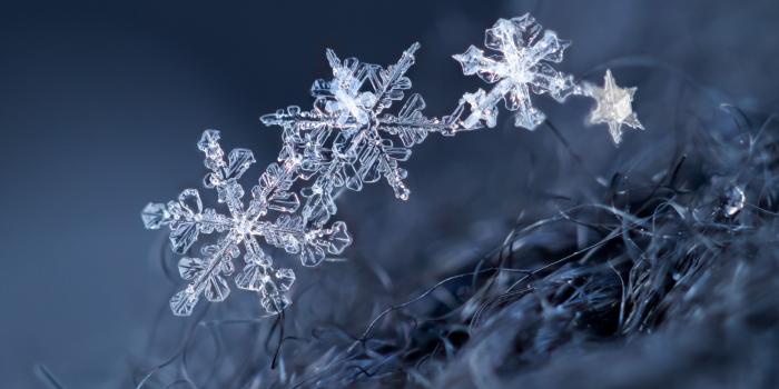 2560x1600 Wallpaper Ice crystal, snowflakes, winter 2560x1600 HD Picture, Image