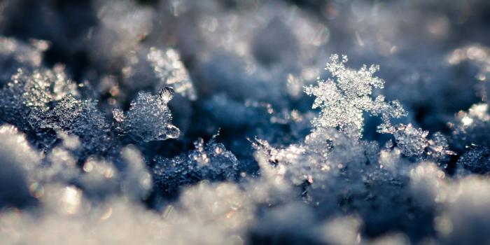 1920x1080 Ice Crystal #6833598