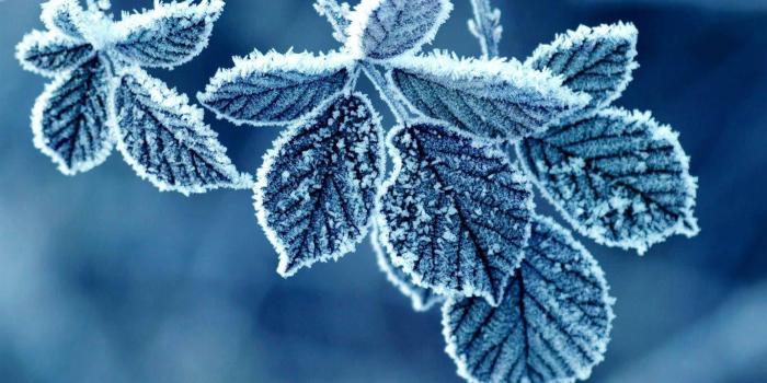 1366x768 Crystal HD Wallpapers