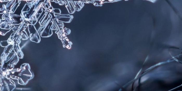 750x1334 Ice crystal, snowflakes, winter 750x1334 iPhone 8/7/6/6S wallpaper