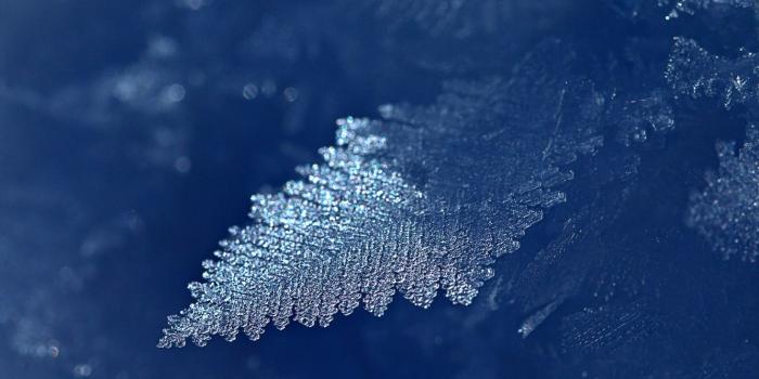 1332x850 Wallpaper frost, macro, ice, frost, crystals, ice crystals images