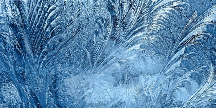 1280x800 Download Ice Flowers On The Window HD Wallpaper - Wallpapers Printed