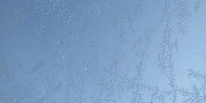 1280x1280 Ice Crystals Wallpaper by EvAngelC83 - 77 - Free on ZEDGE™