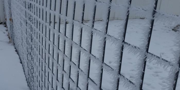 1920x1080 Ice Crystals on a fence | Download Wallpapers