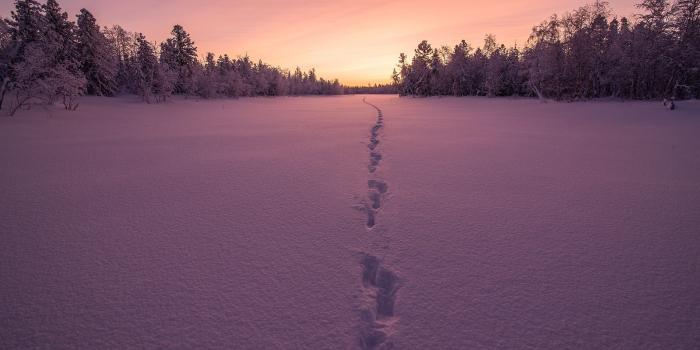 4000x2670 Wallpaper Winter forest, Sunset, Snow, 4K, Nature, #6258