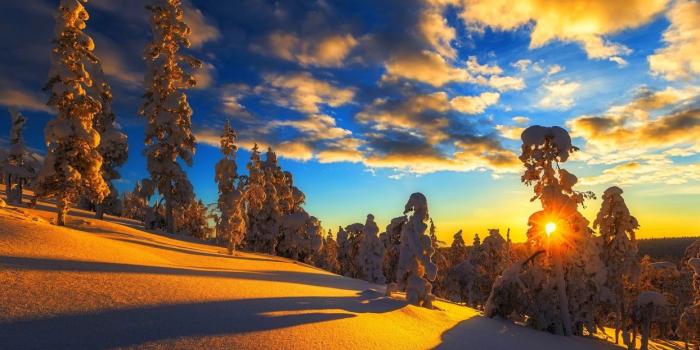1244x700 Nature tree light snow sunset winter beauty landscape wallpaper