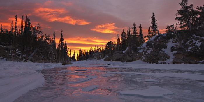 1920x1080 Download wallpaper 1920x1080 sunset, trees, sky, snow full hd, hdtv