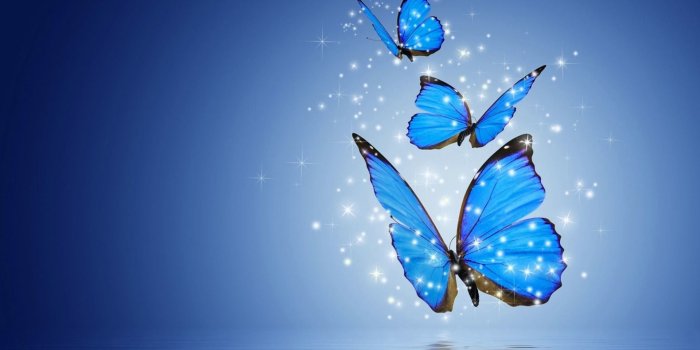 1920x1200 Butterflies Desktop Wallpaper | Wallpapers Link