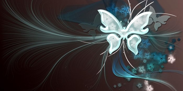 1920x1200 Butterfly Desktop Wallpaper | Butterfly vector backgrounds hd