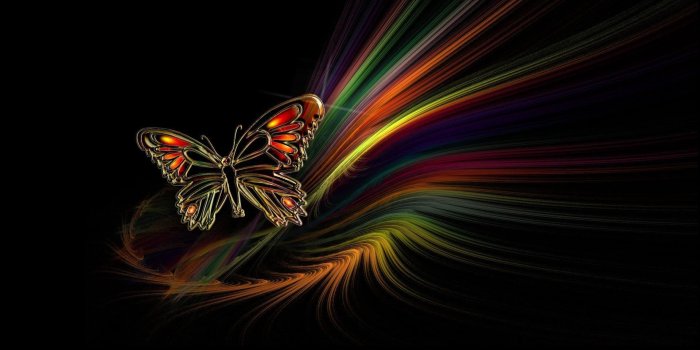 1920x1080 388898 1920x1080 butterfly desktop wallpaper pictures free JPG 294