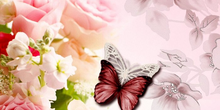 1920x1200 Pretty Butterfly Desktop Backgrounds - Best Wallpaper Of Butterfly